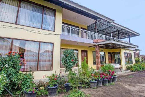 villa strawberry sembalun