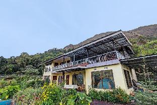 villa strawberry sembalun