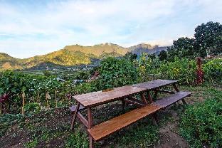 villa strawberry sembalun