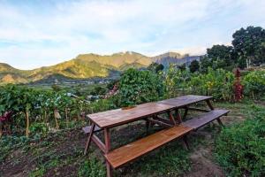 villa strawberry sembalun