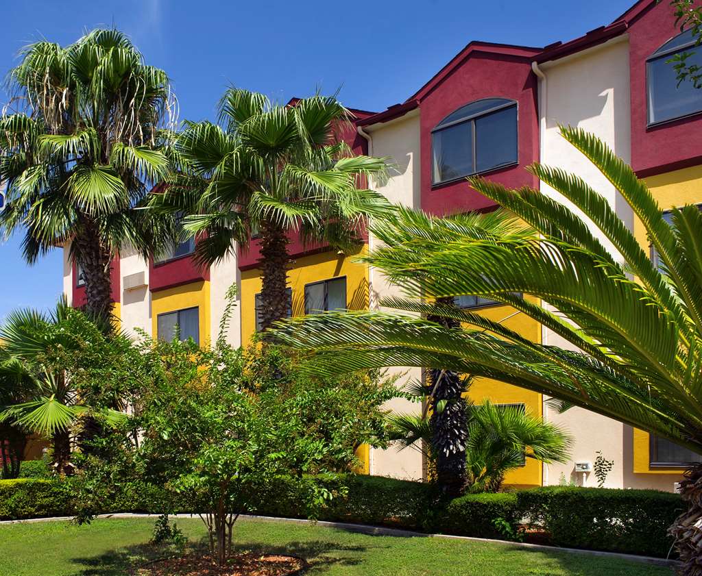 best western alamo suites