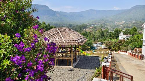 moon wings mountain resort