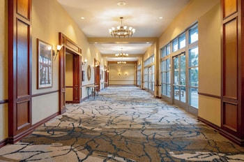 hilton san antonio hill country