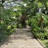 the garden family guest house powered by cocotel