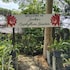 the garden family guest house powered by cocotel