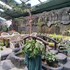 the garden family guest house powered by cocotel