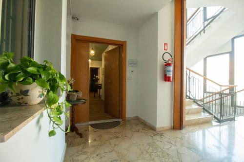 epimoni bandb