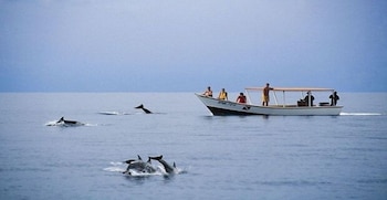Nueva Toledo Suites & Hotel,In Cumana,3 star