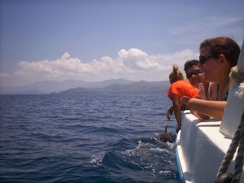 nueva toledo suites and hotel