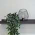 hostel partenope