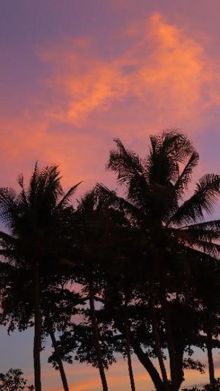 gianyar