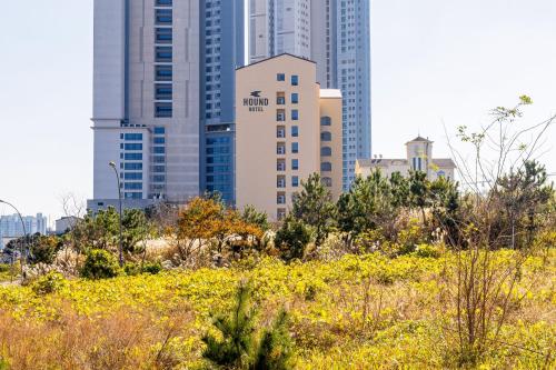 hound hotel ulsan