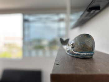 puerto baquerizo moreno