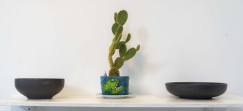 puerto baquerizo moreno