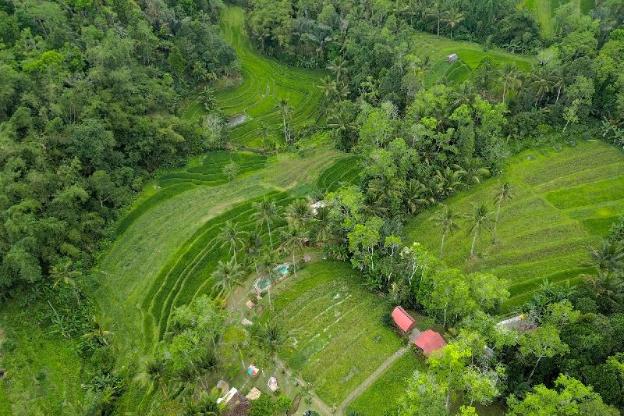 pesona bali ecolodge