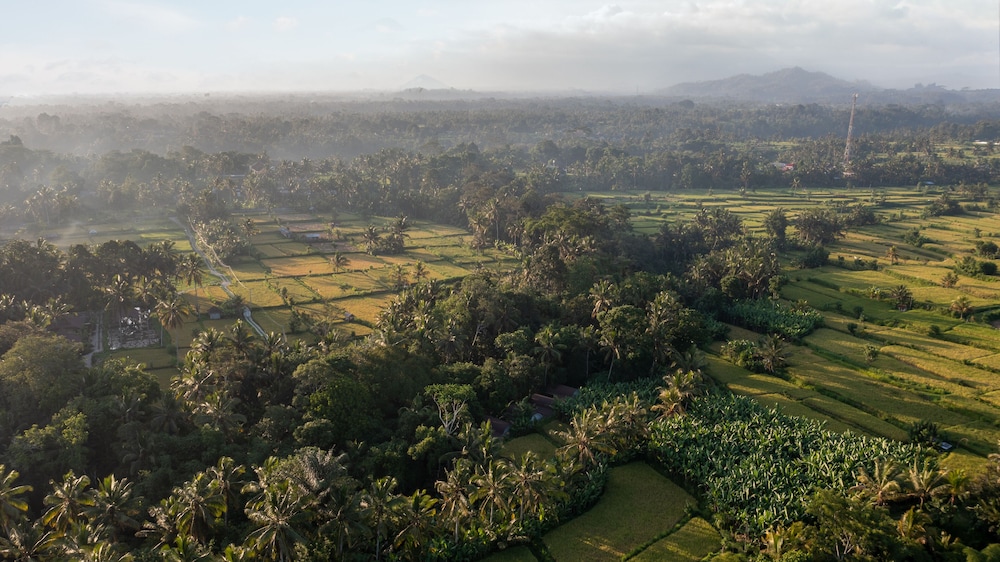 sacred canyon ubud by pramana villas