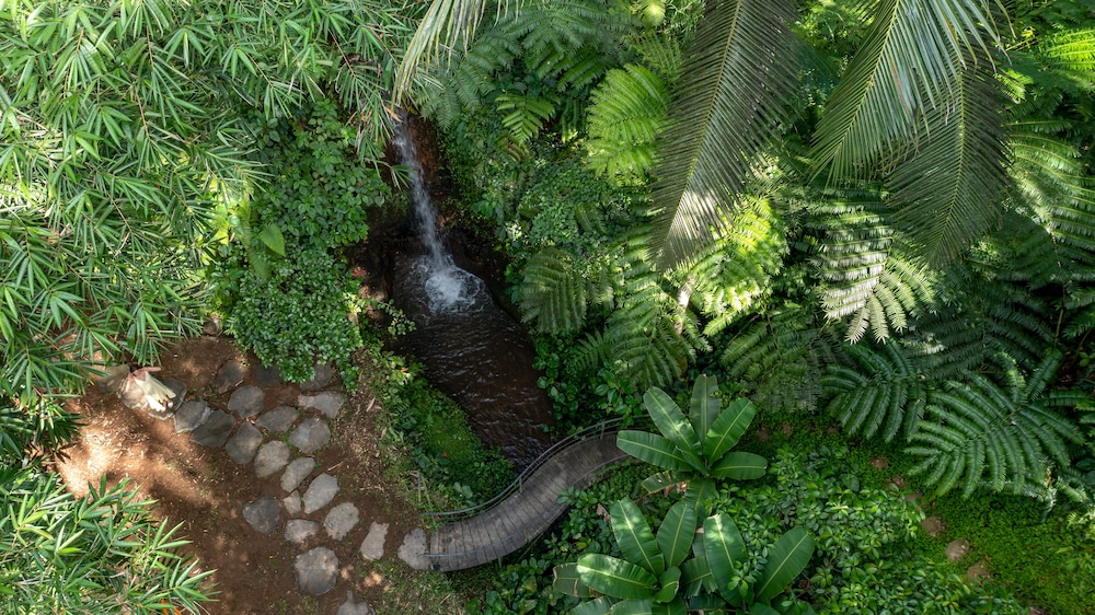sacred canyon ubud by pramana villas