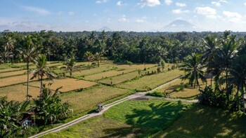 sacred canyon ubud by pramana villas