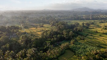 sacred canyon ubud by pramana villas