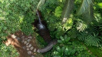 sacred canyon ubud by pramana villas