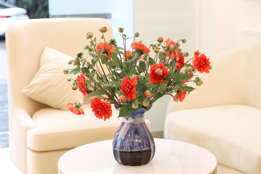 chemi noi bai airport hotel