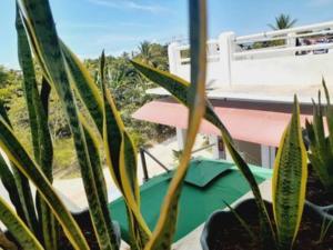 alona rose hotel by sms hospitality