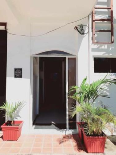 alona rose hotel by sms hospitality