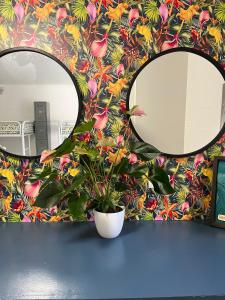 Waikiki Beachside Hostel,Honolulu>>Hawaii,2 star