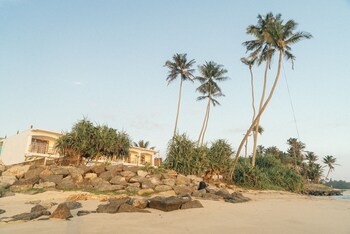 ahangama