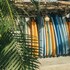 dreamsea surf camp sri lanka
