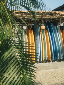 dreamsea surf camp sri lanka