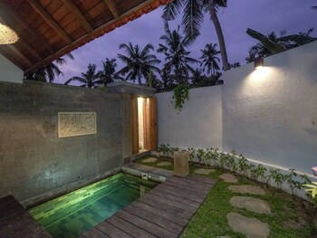 y conut ubud villa