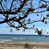 here bandb kenting b hostel