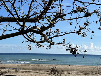 here bandb kenting b hostel