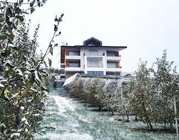 ville danaunia