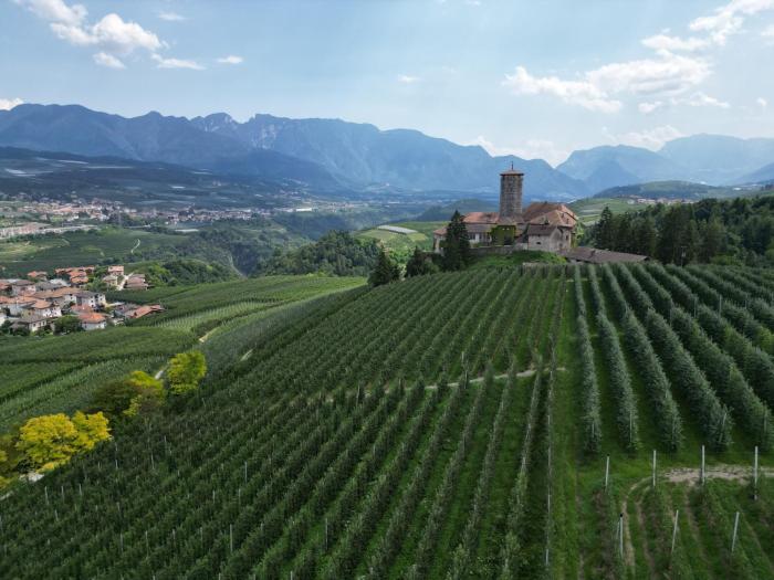 ville danaunia