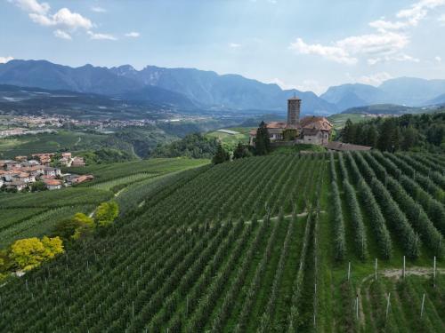 ville danaunia