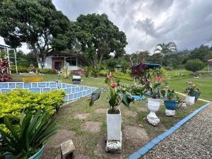 sary house by anne spa