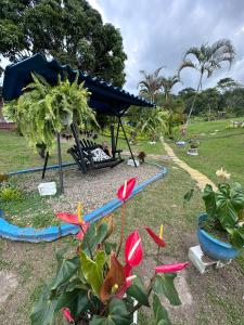 sary house by anne spa