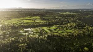 Como Shambhala Estate,Angsri>>Bali,5 star