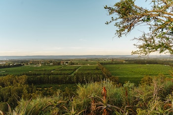 hitgeheim garden cottages
