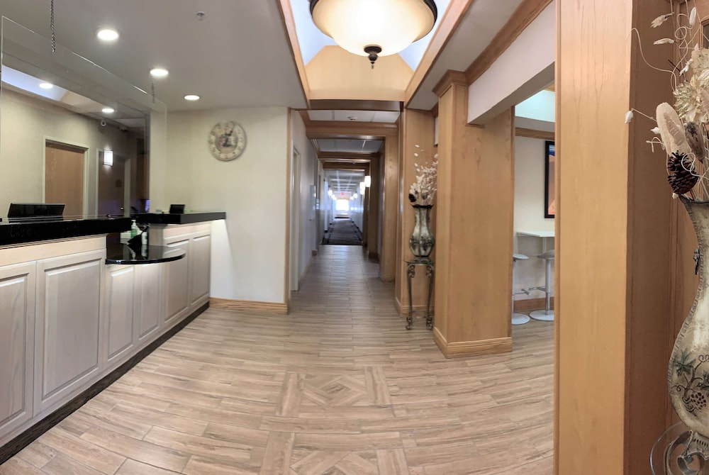 baymont by wyndham paw paw