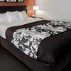 sleep inn and suites