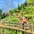 mai chau