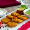 the orchid jamnagar