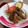 the orchid jamnagar