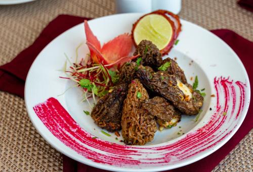 the orchid jamnagar
