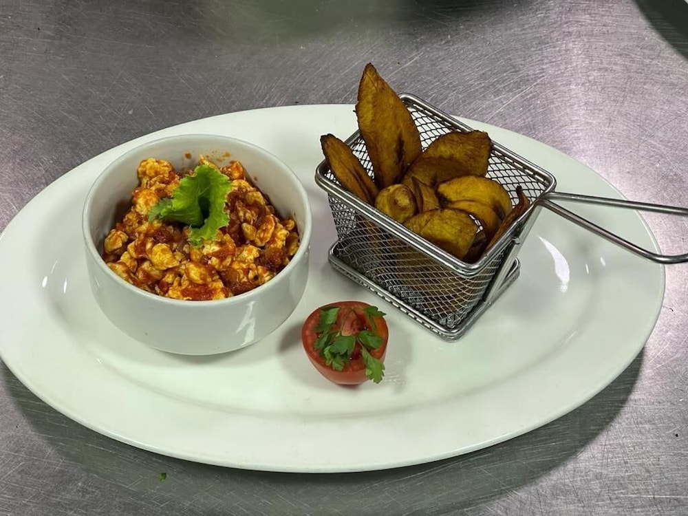 cate house and apartment