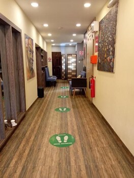 cate house and apartment