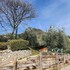 agriturismo scuderia castello